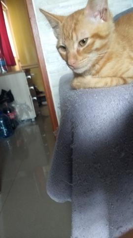 Doa se urgente