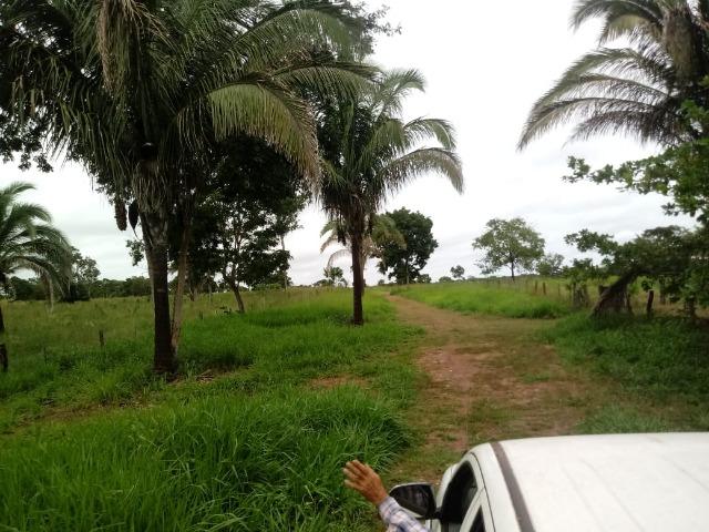 Fazenda para Pecuária em Livramento a 51 km de Cuiabá - Foto 11