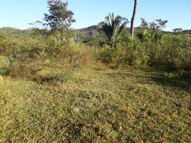 Fazenda 866 Hectares apos 35 km da Agrovila das Palmeiras - Foto 19