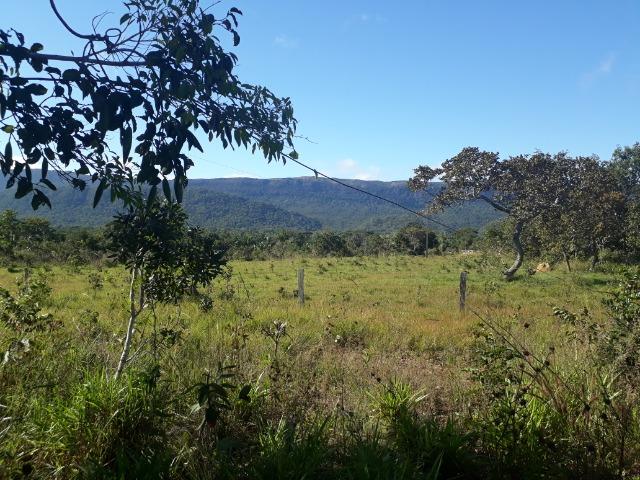 Fazenda com 784,77 hectares entre Jangada e Rosário Oeste - Foto 15