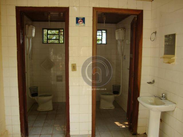 Sitio 52 hectares santo antonio - Foto 11