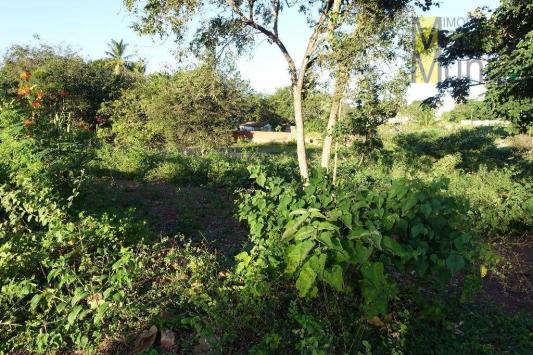 Terreno residencial à venda, messejana, fortaleza. - Foto 10