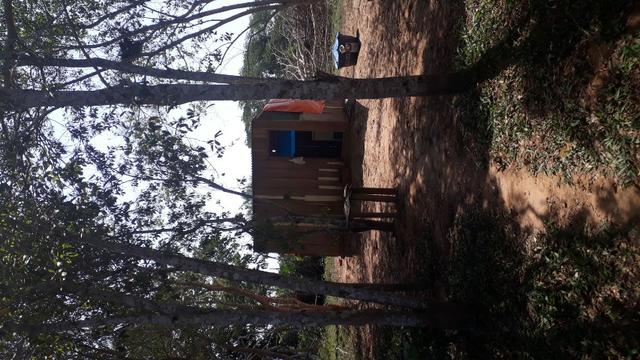 Terra no pantanal - Foto 10