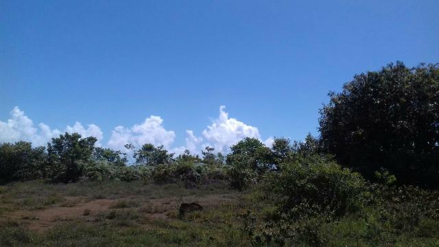 Área rodovia Ilhéus -Itacaré - Foto 5