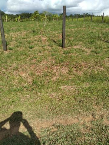 Terreno no Mutum negociavel