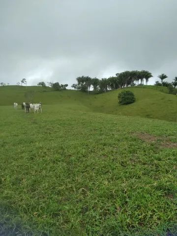 Vende-se - Foto 6