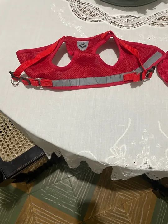 Coleira e Peitoral para Cães - Vermelho - Foto 4