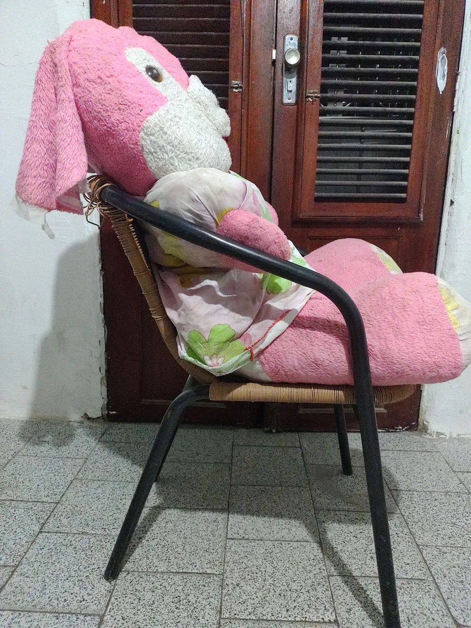 COELHÃO GIGANTE - Foto 5