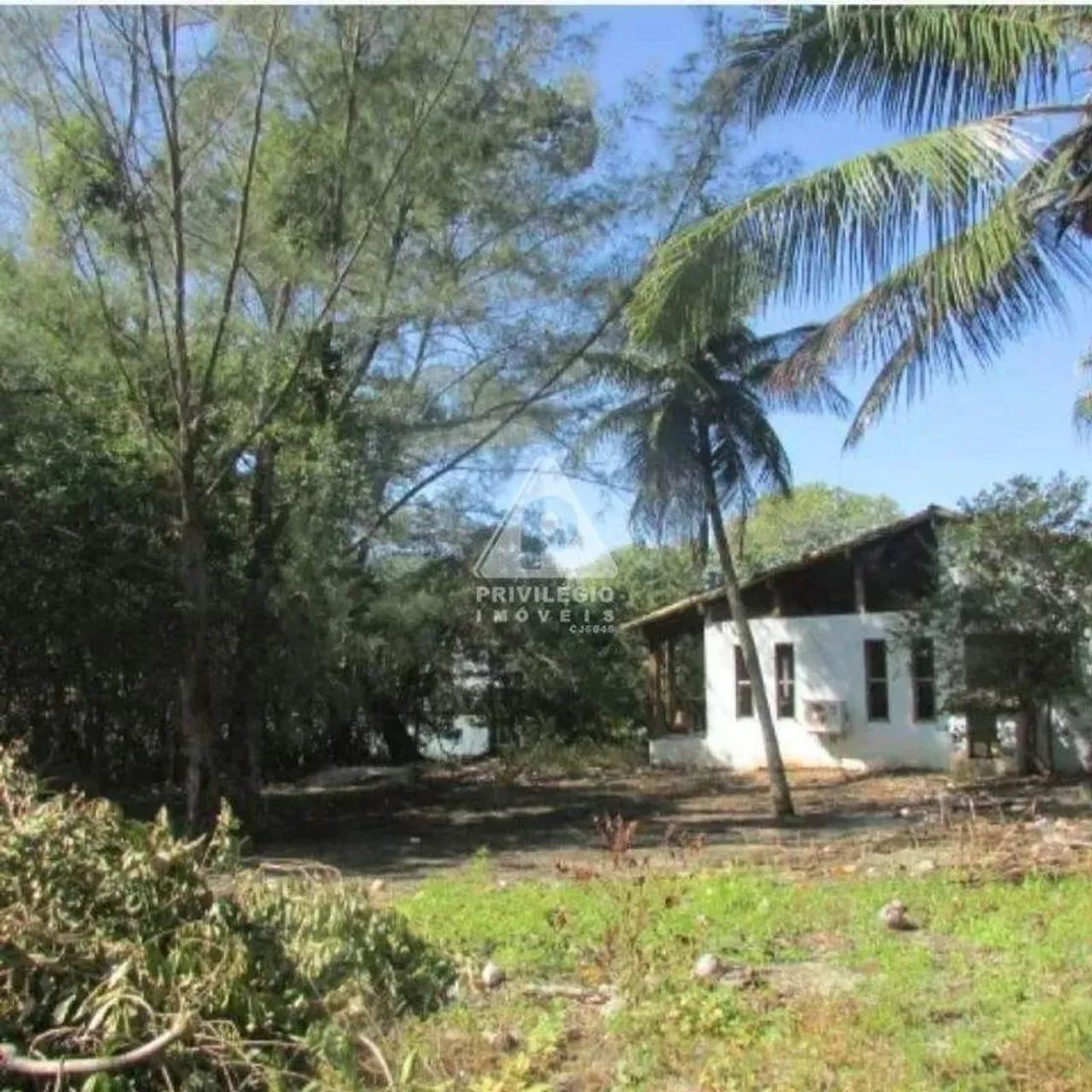 O terreno dentro da Ilha do Ipê - Foto 5