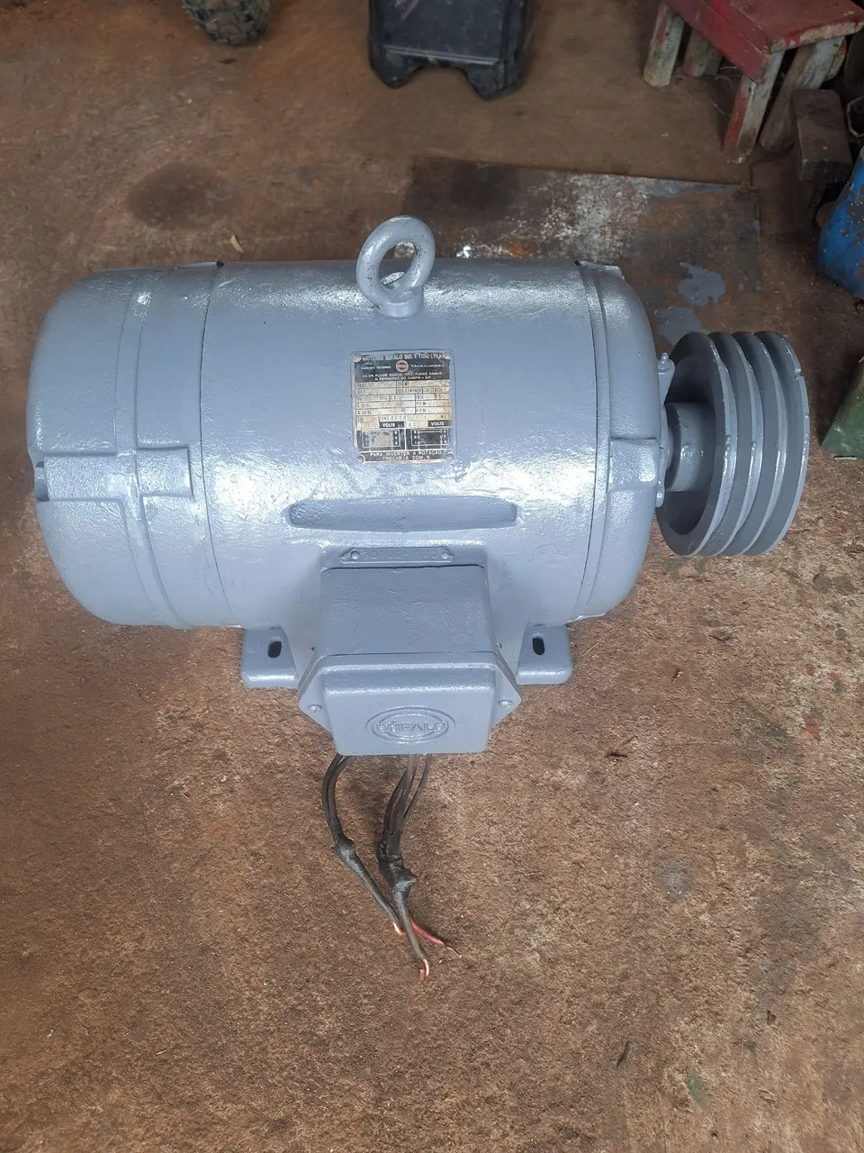 Motor monofasico rural 10cv