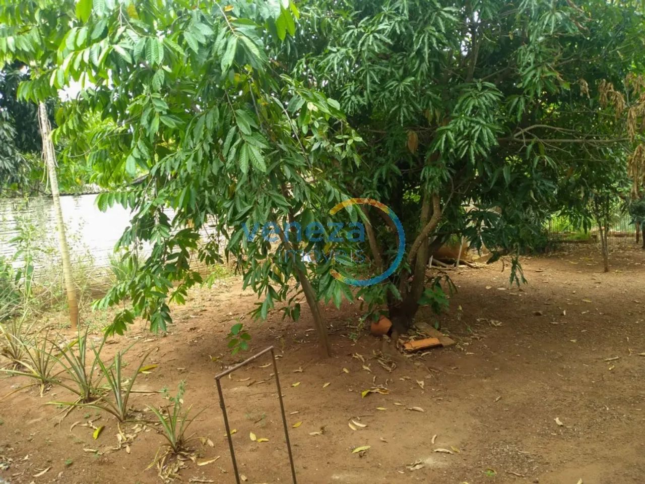 Chácaras_Prop rurais com 3 quartos à venda por R$ 750000.00, 2100.00 m2 - RURAL - JATAIZIN - Foto 5