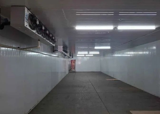 CAMARA FRIA PARA RESFRIADOS