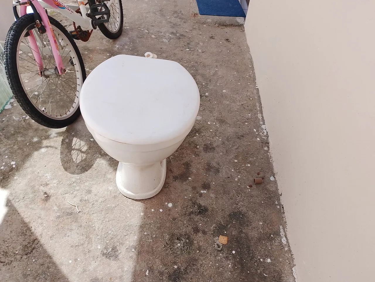 Sanitário