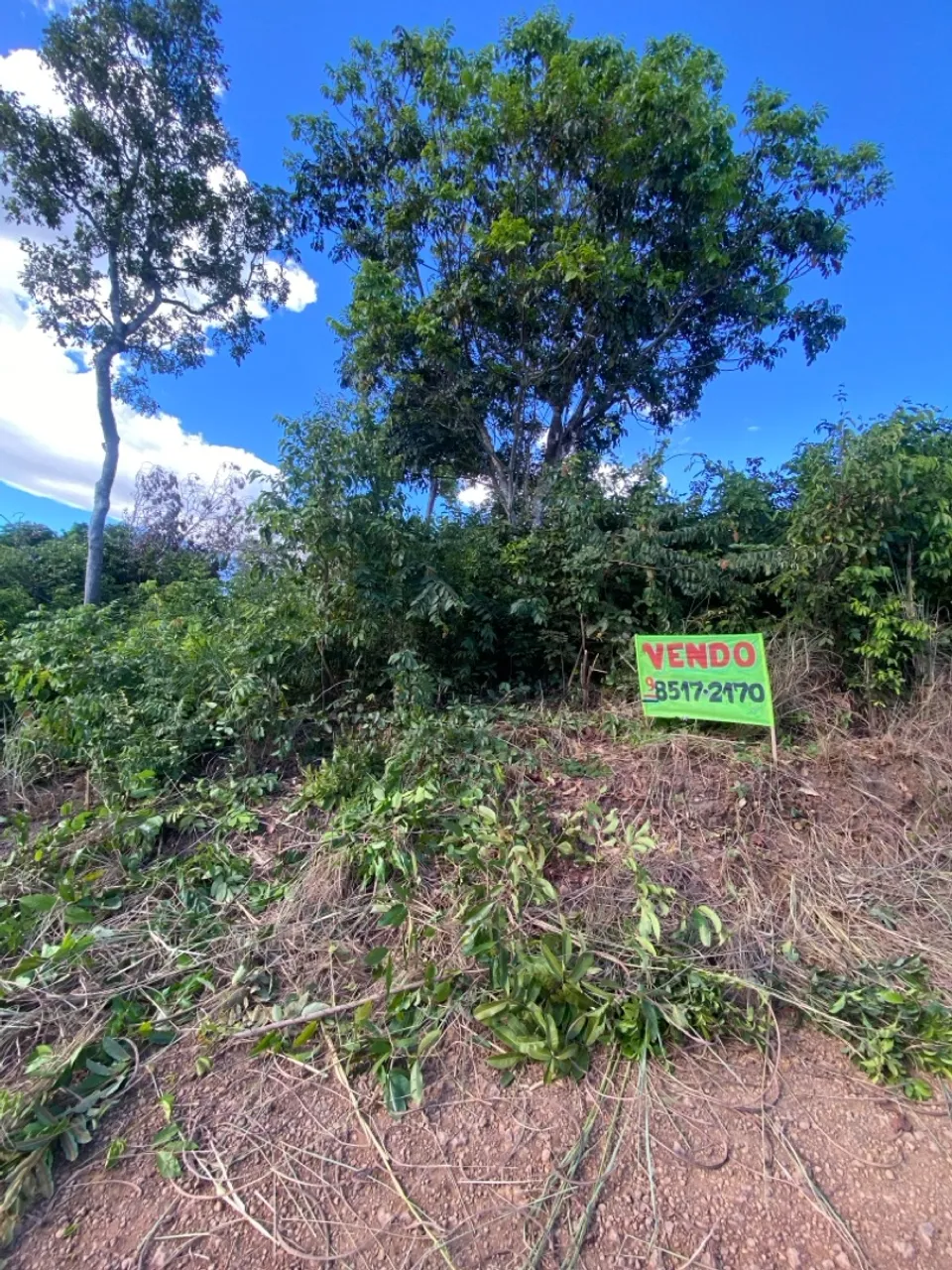 Vende-se lote