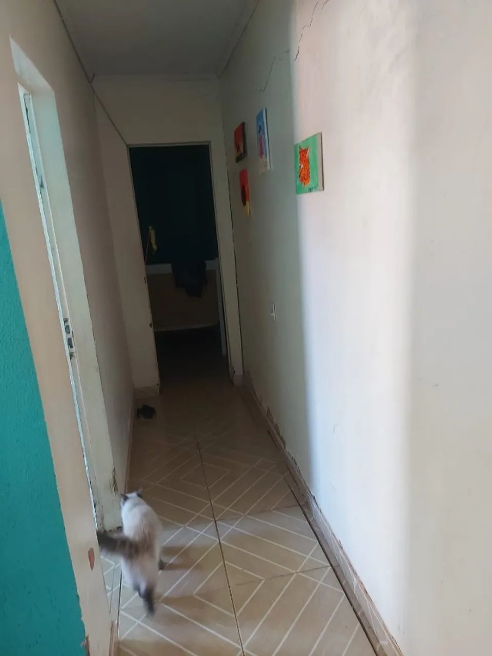 Vendo  casa no sol nascente trecho 1 atras a feira produtor  - Foto 2