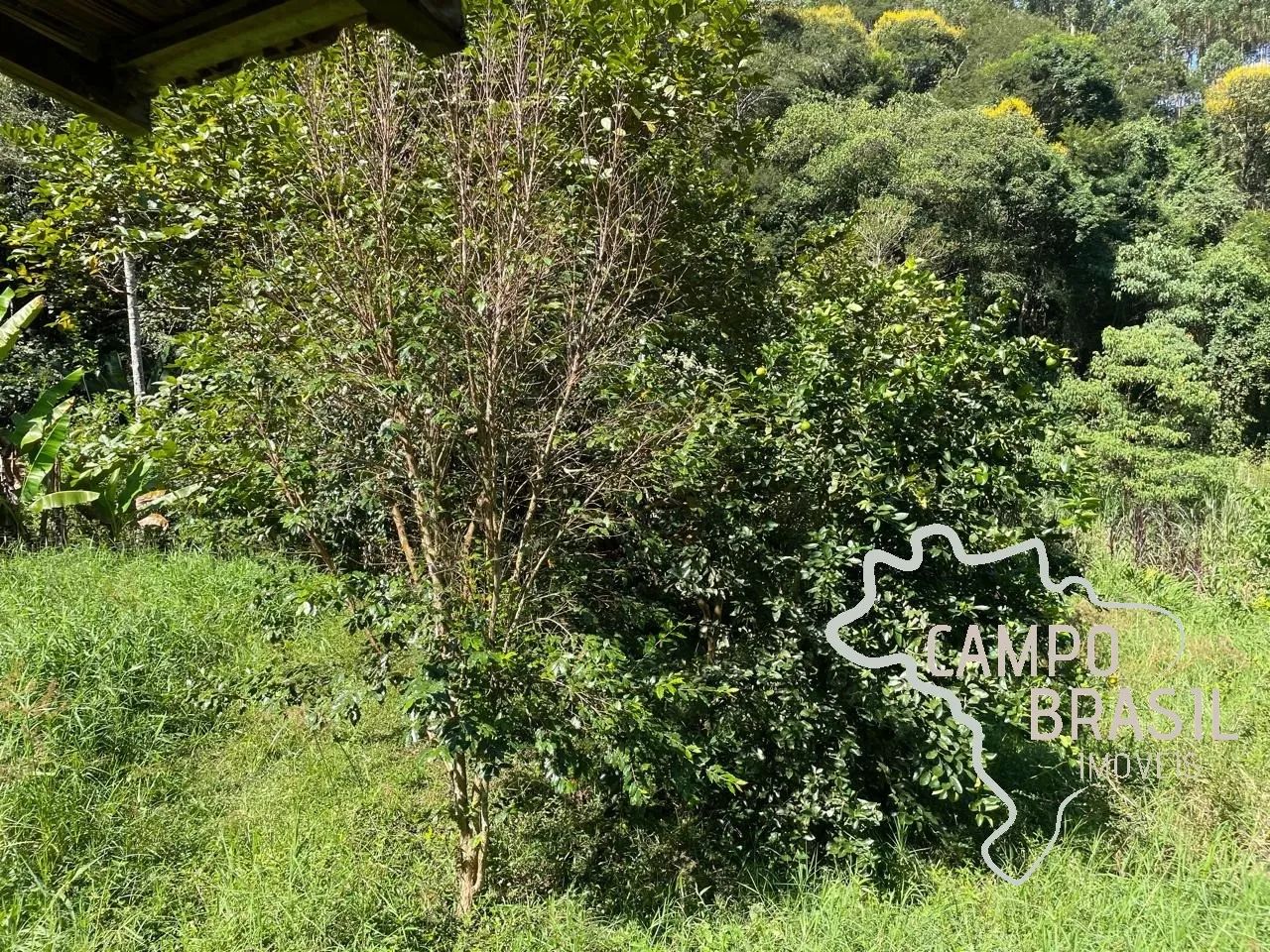 SÍTIO 3 ALQUEIRES COM LAGO EM JAMBEIRO ! - Foto 5