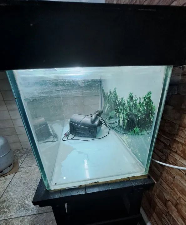 Aquário 300 litros 