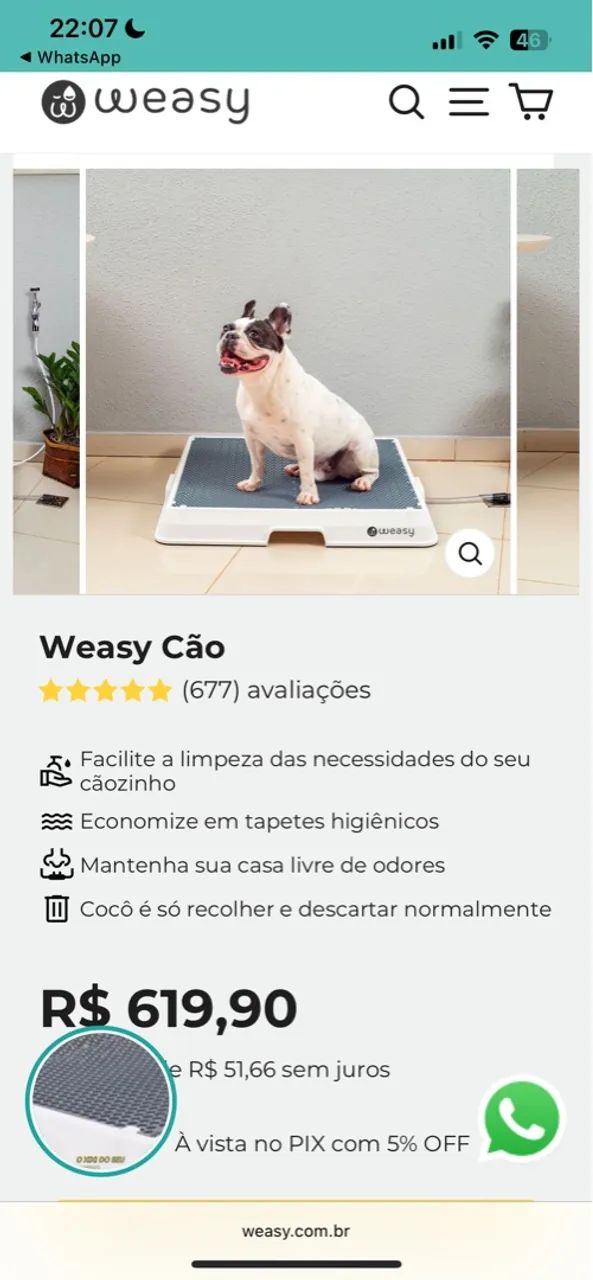 Weasy Cão - Banheiro para Cães