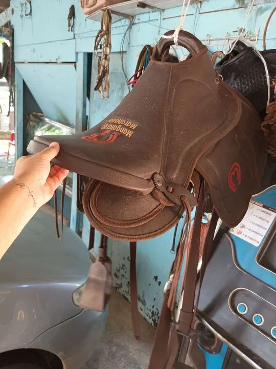 Celas australiana  - Foto 2