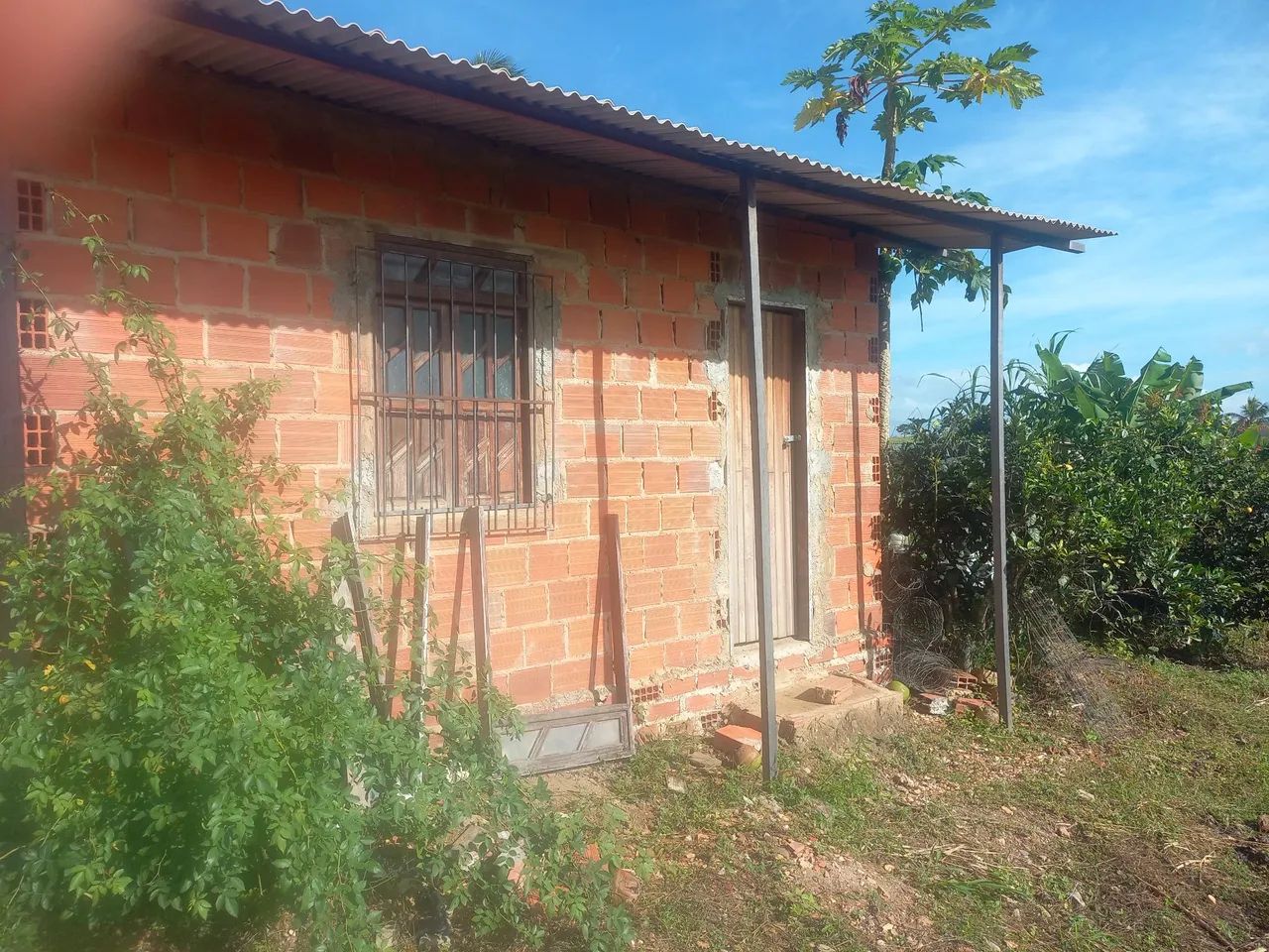 Vendo Sítio de 3,5 tarefas, no povoado da Macedina, Salgado/SE - Foto 5
