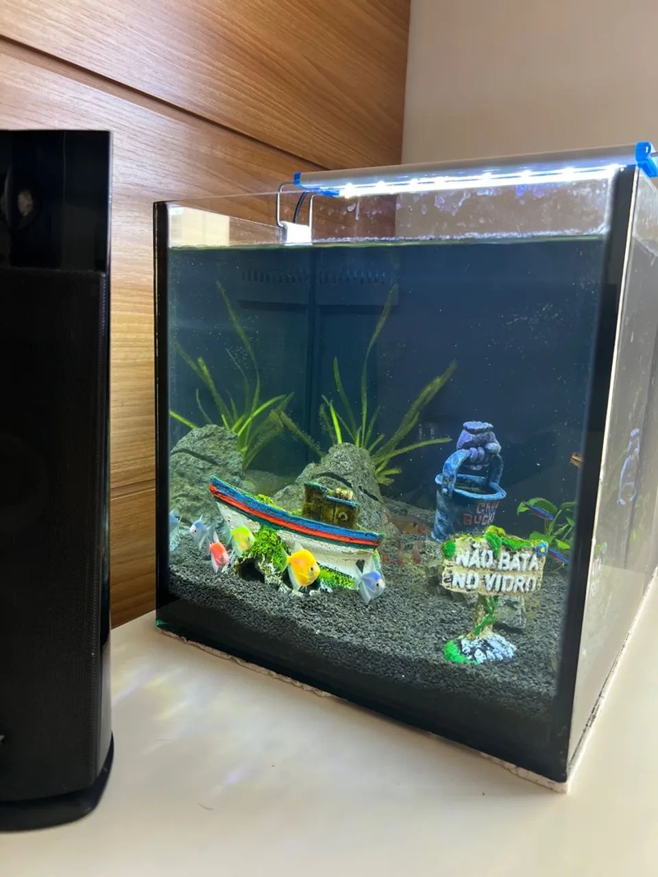 Aquário de 40 Litros com Iluminação LED  - Foto 4