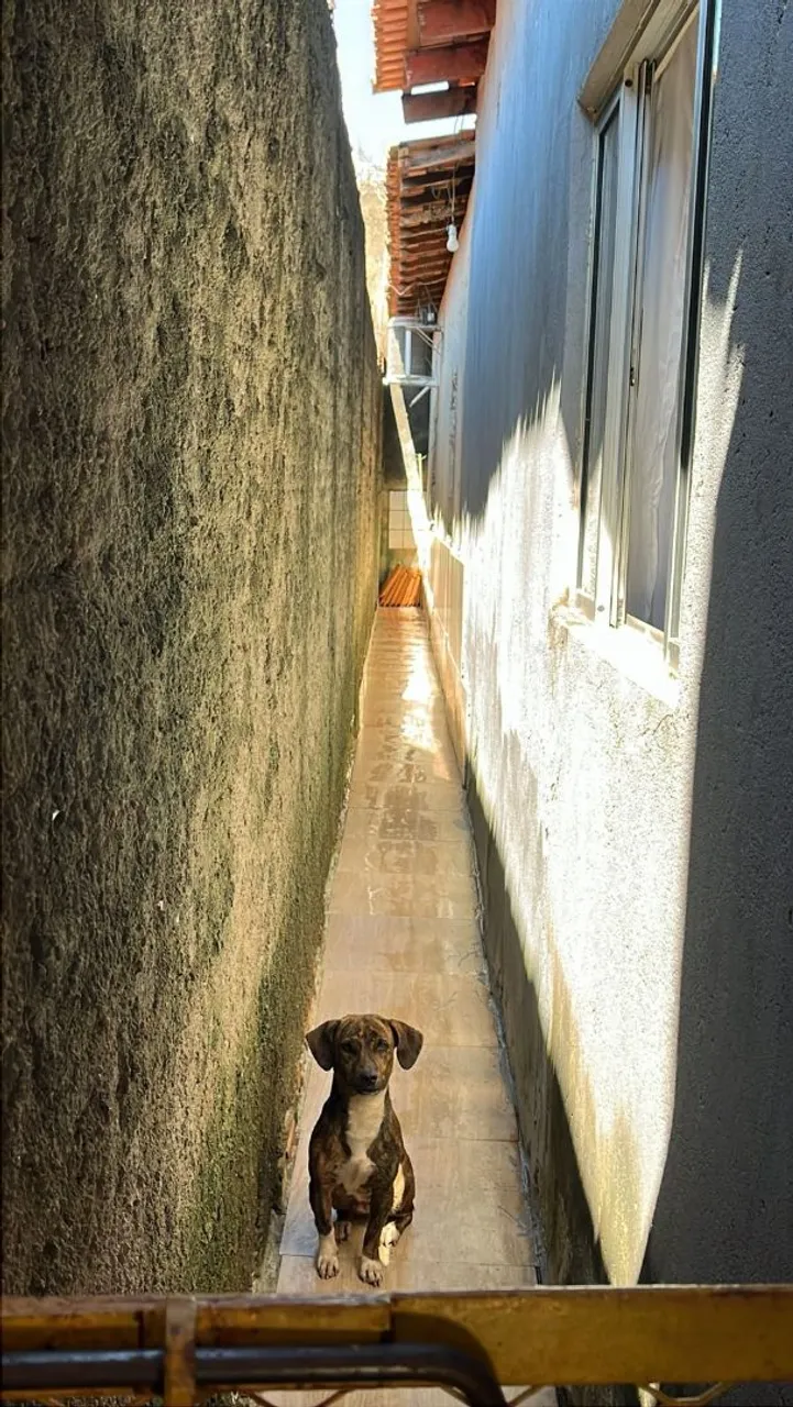 Casa na região da Vila Maranhão com quatro compartimentos sala cozinha e banheiro