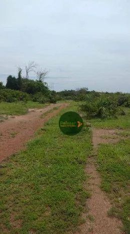Fazenda à venda, 1960200 m² por R$ 5.390.000 - Zona Rural - Cristalândia/TO - Foto 2