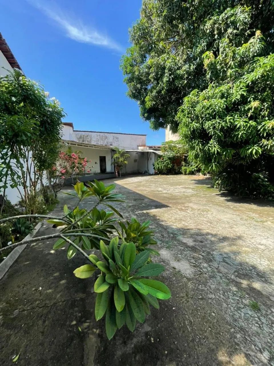 Chácara da Vovó - Espaço para Eventos e Confraternização  - Foto 3