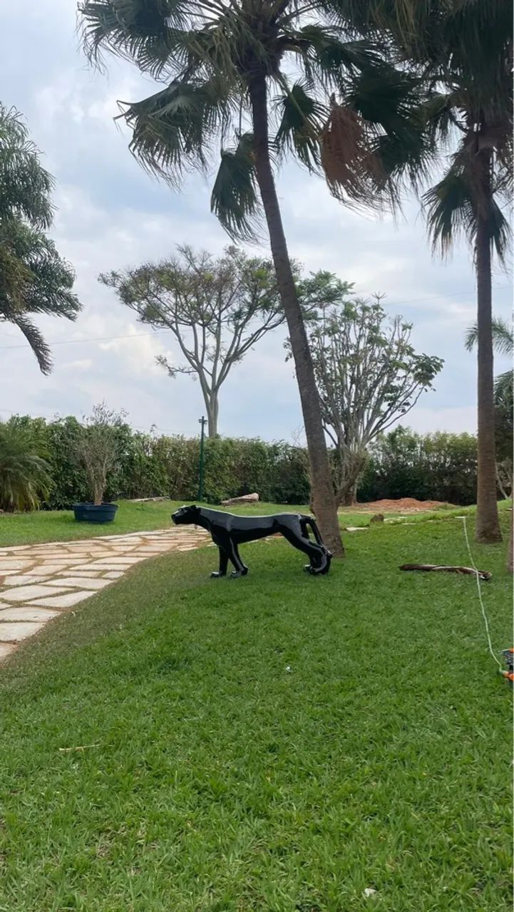 DECORAÇÃO DE PANTERA  - Foto 4