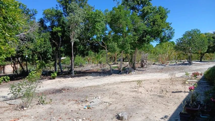 Terrenos em Porto Seguro Alto Mundaí - Foto 2