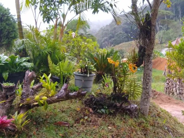 SEU REFÚGIO IMPERDÍVEL EM DOMINGOS MARTINS com 30 mil m² - Foto 8