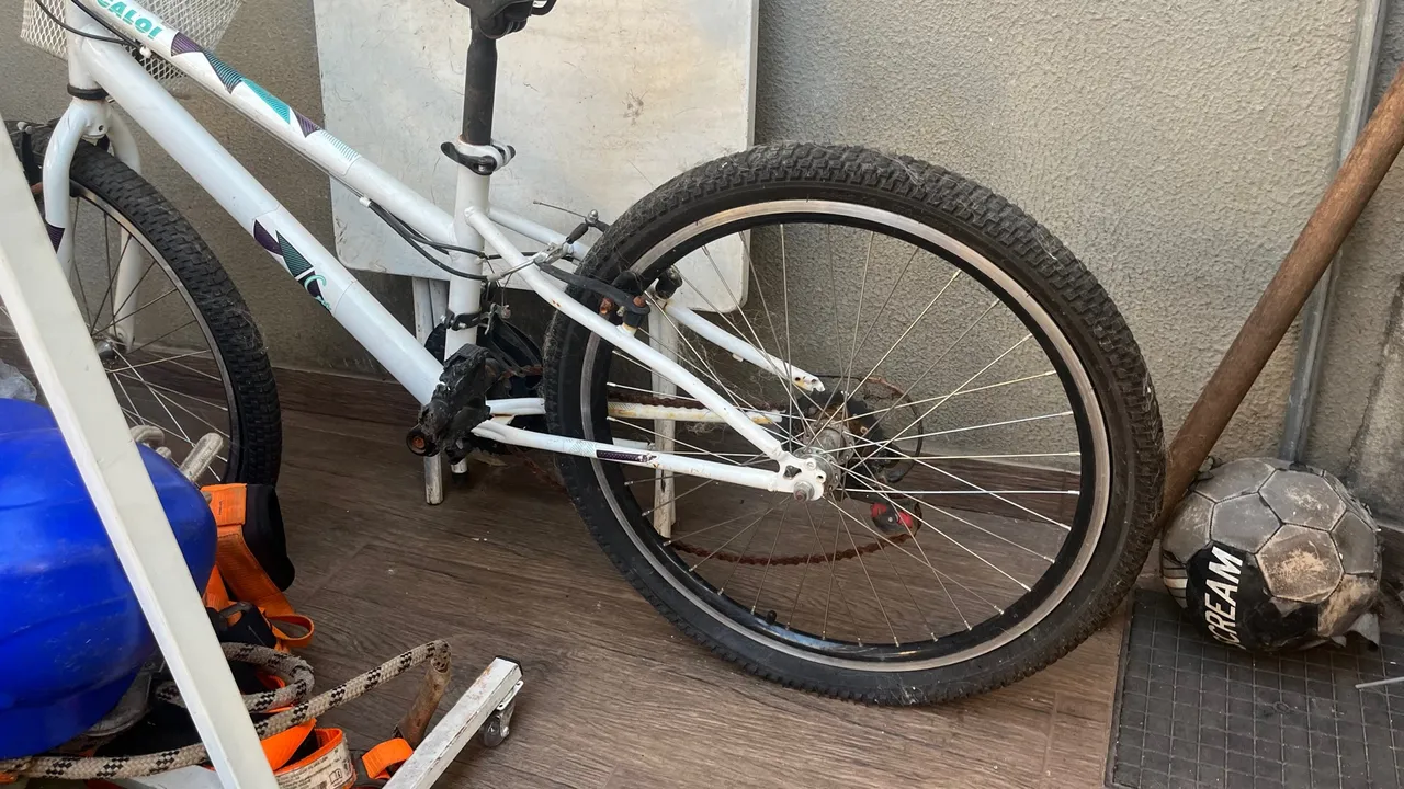 Bicicleta aro 24