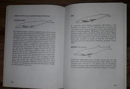 Livro Animais Marinhos Que Podem Ferir o Mergulhador - Foto 3