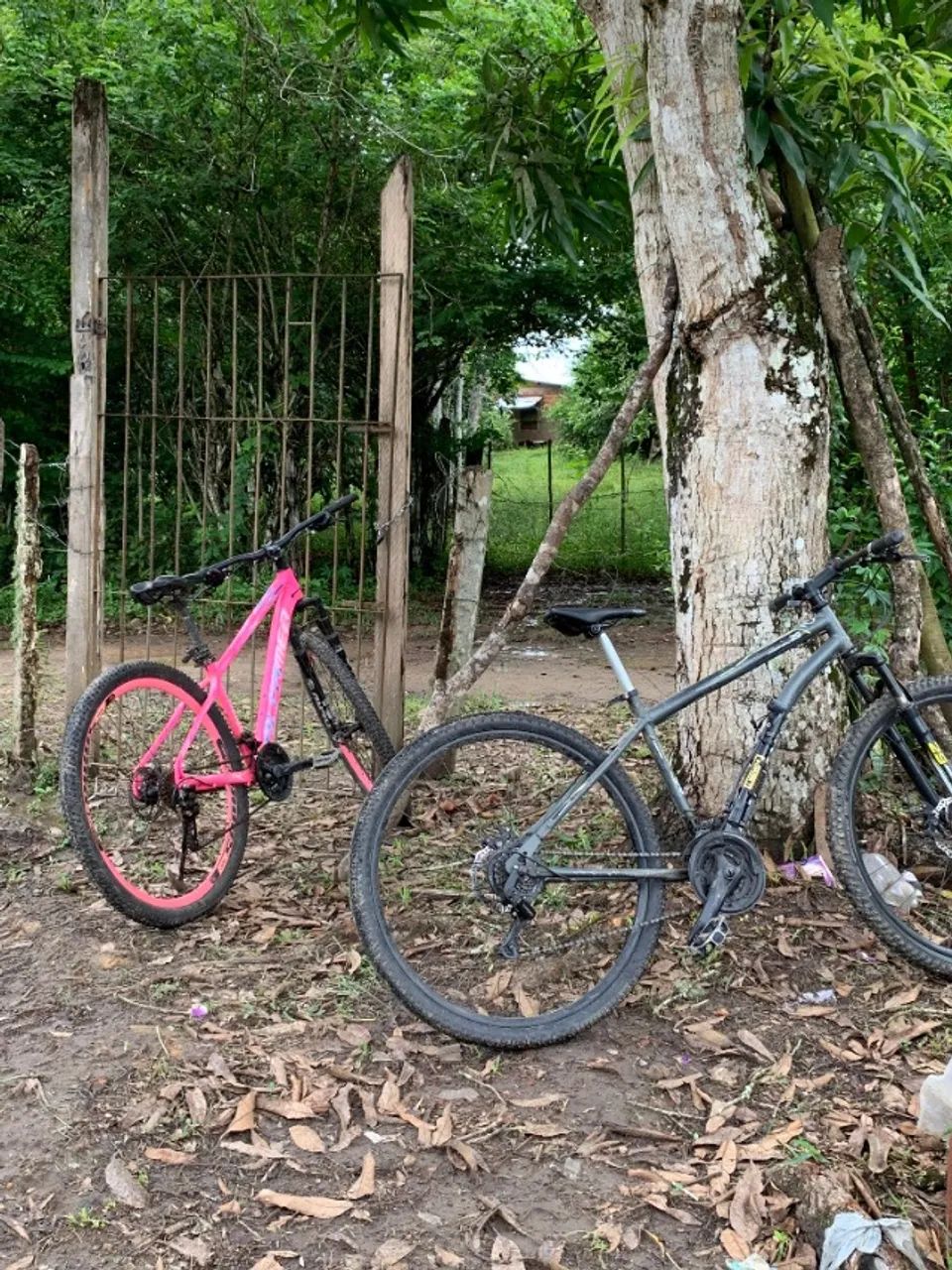 Bicicleta  - Foto 2