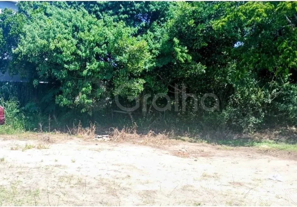 Terreno para Venda em Florianópolis, Campeche - Foto 4