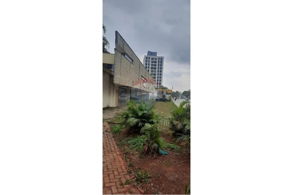 Alugue Loja Ampla na Av. Direitos Humanos, SP - Foto 4