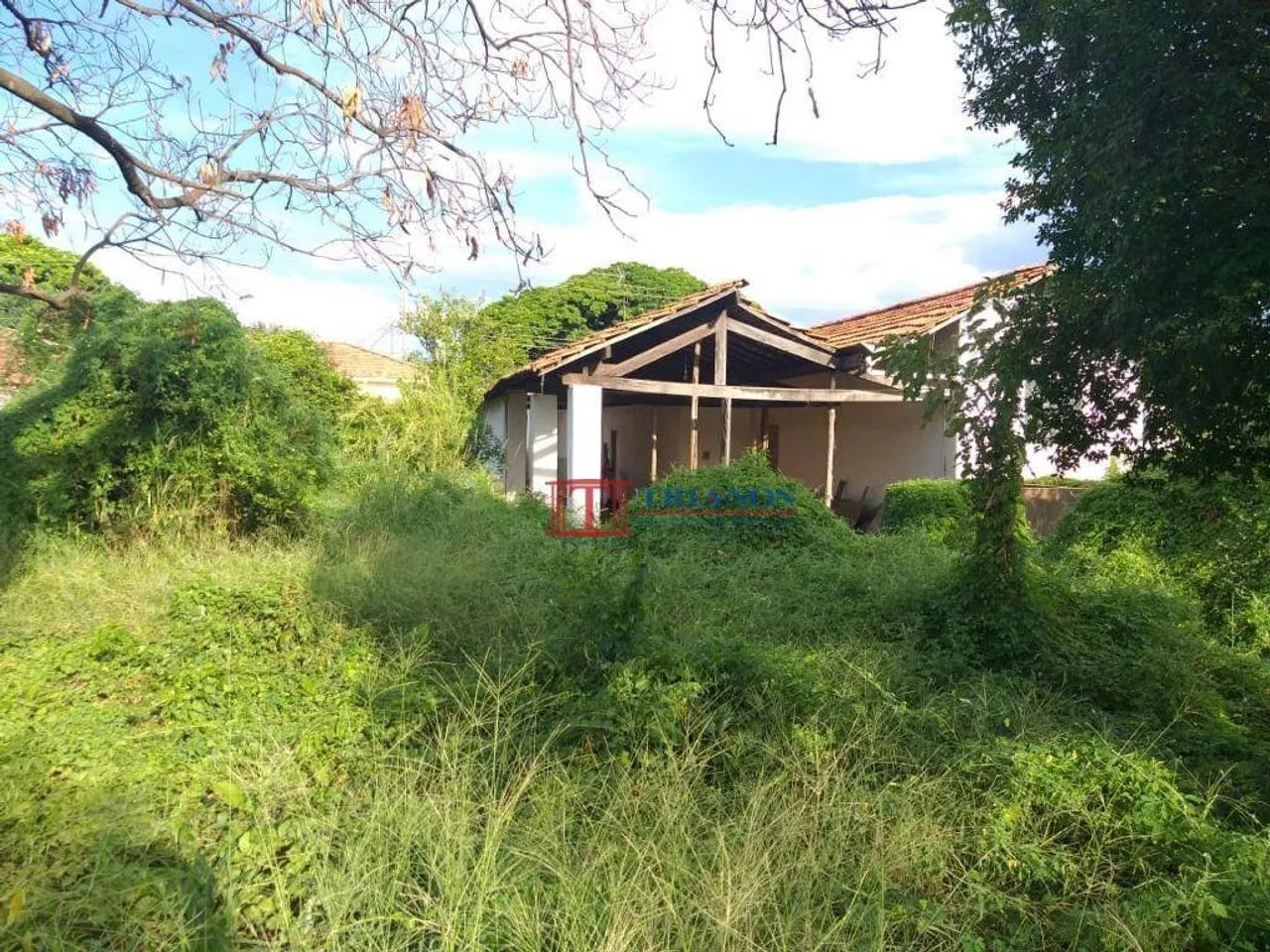 Terreno no Bairro Paulista