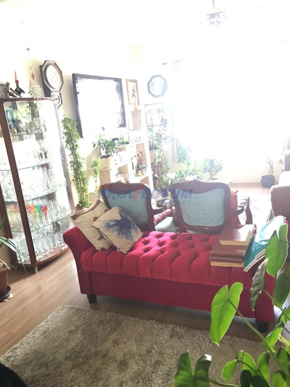 apartamento - Vila Lemos - Campinas - Foto 4