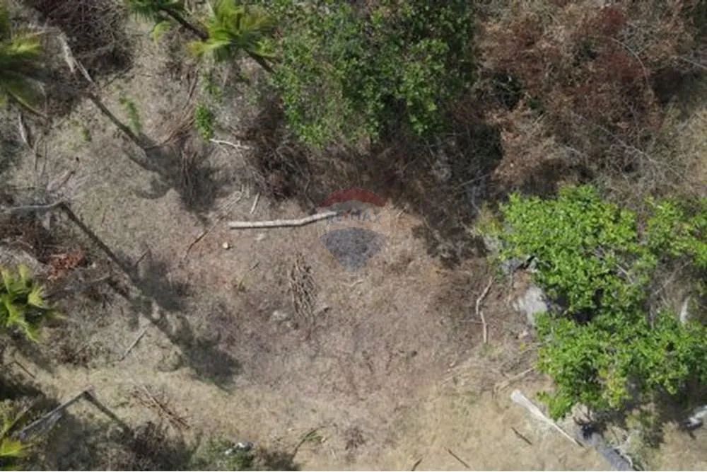 Terreno a venda em Sebollas - Foto 4