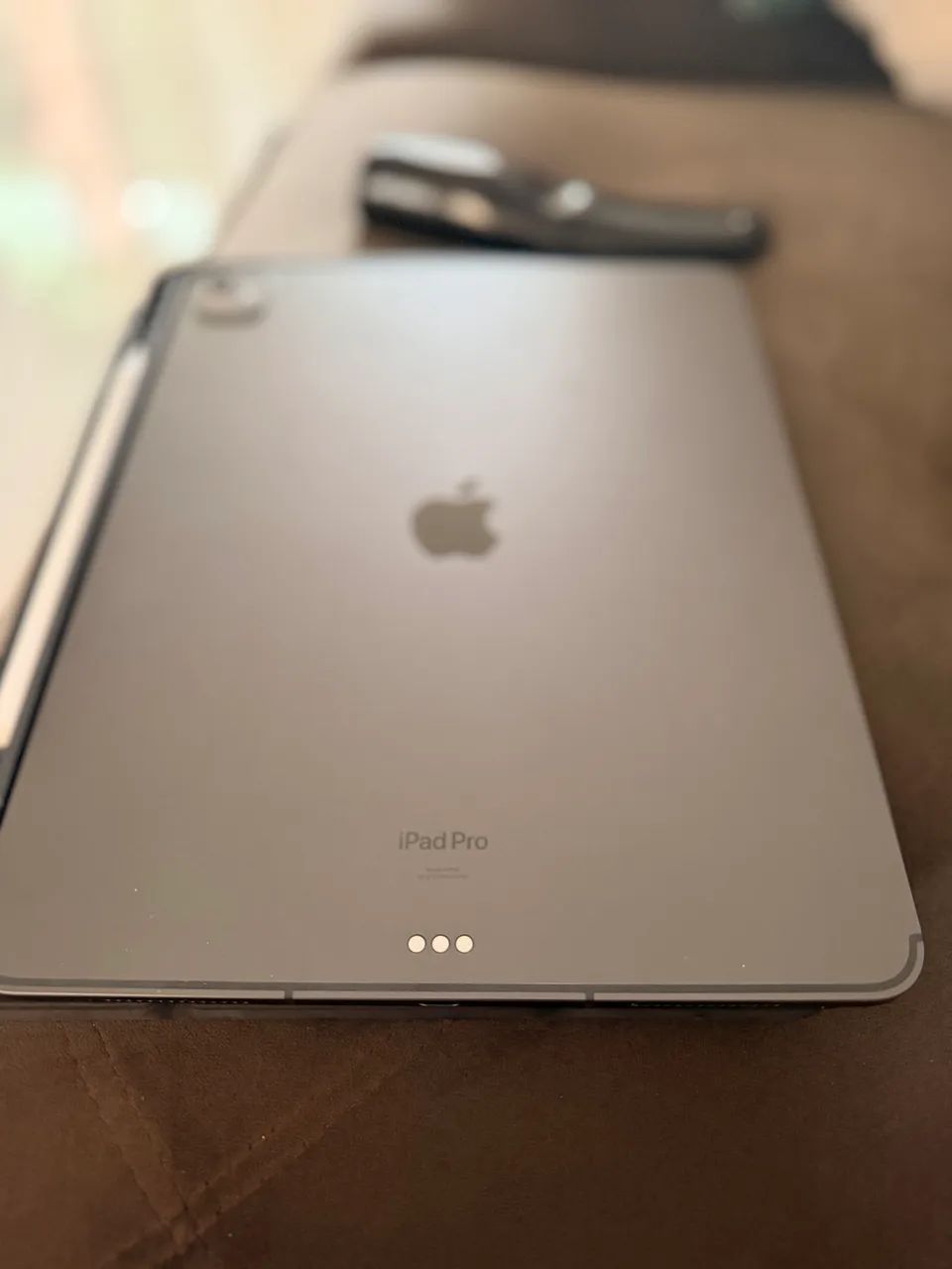 IPad Pro 13 M4 256 gigas Wi-Fi + Celular + Apple Pencil Pro