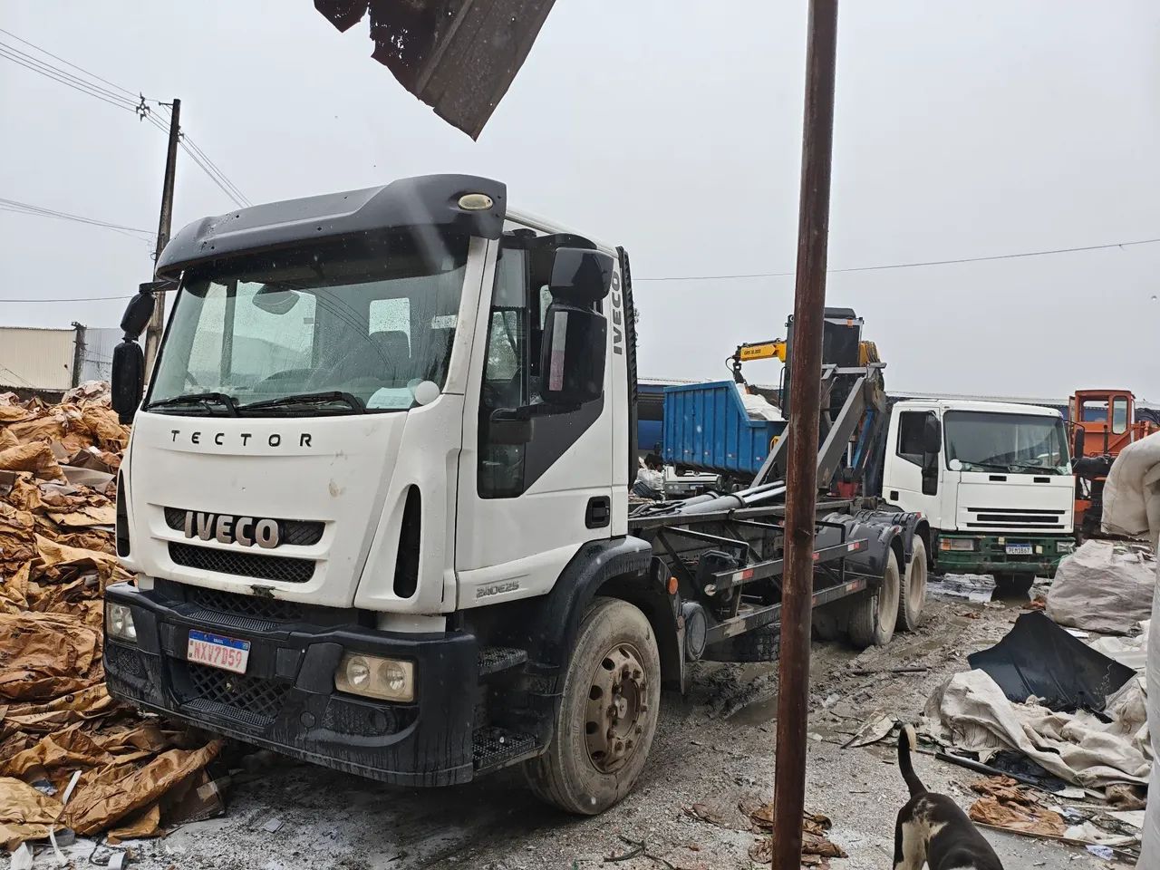 IVECO TECTOR 240E22 2013 - Foto 3