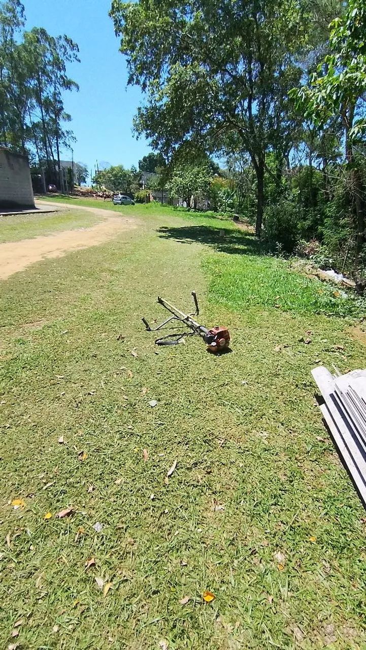 Jardinagem cara e boa clica - Foto 2