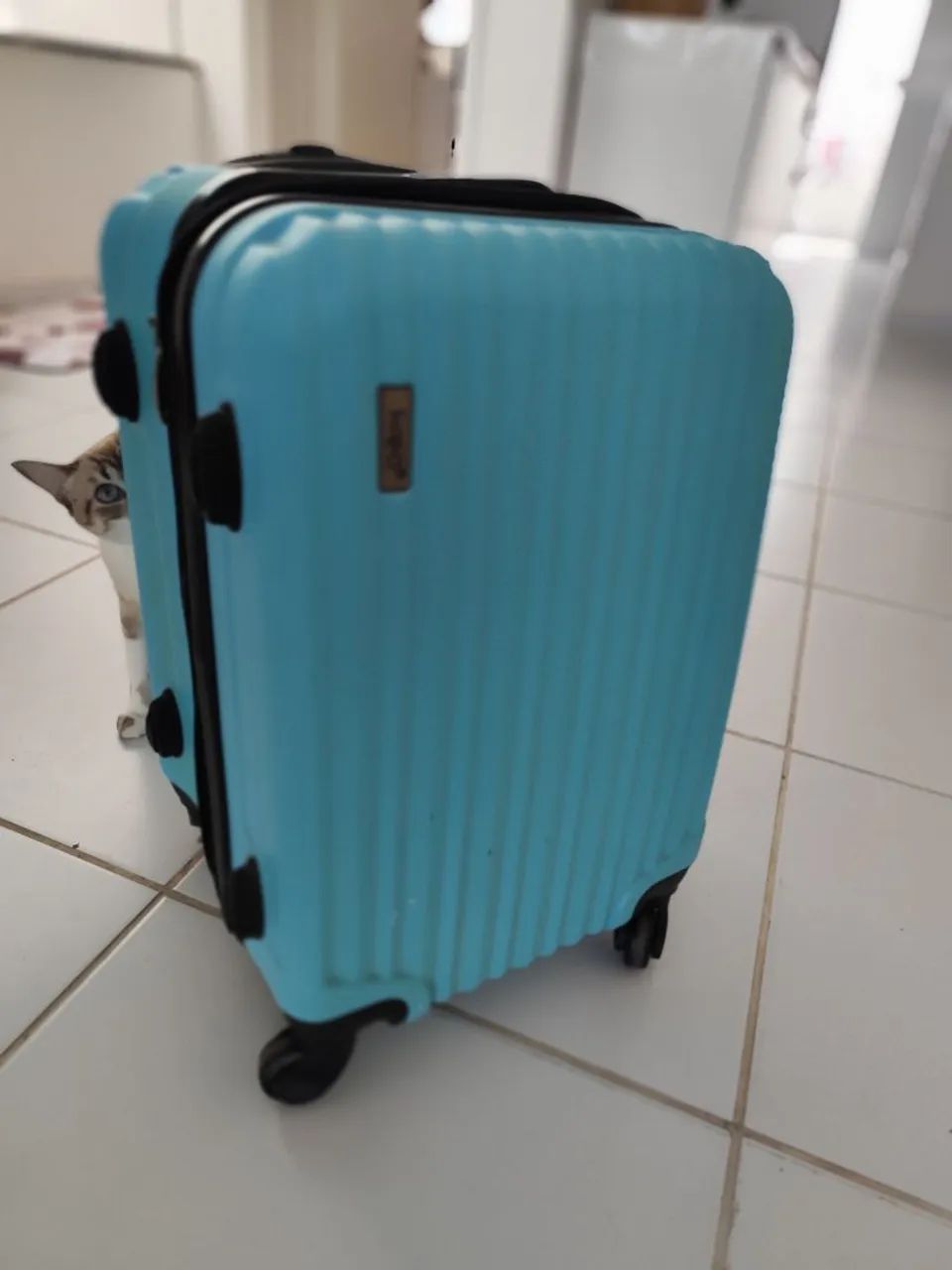 Mala de viagem - Foto 2