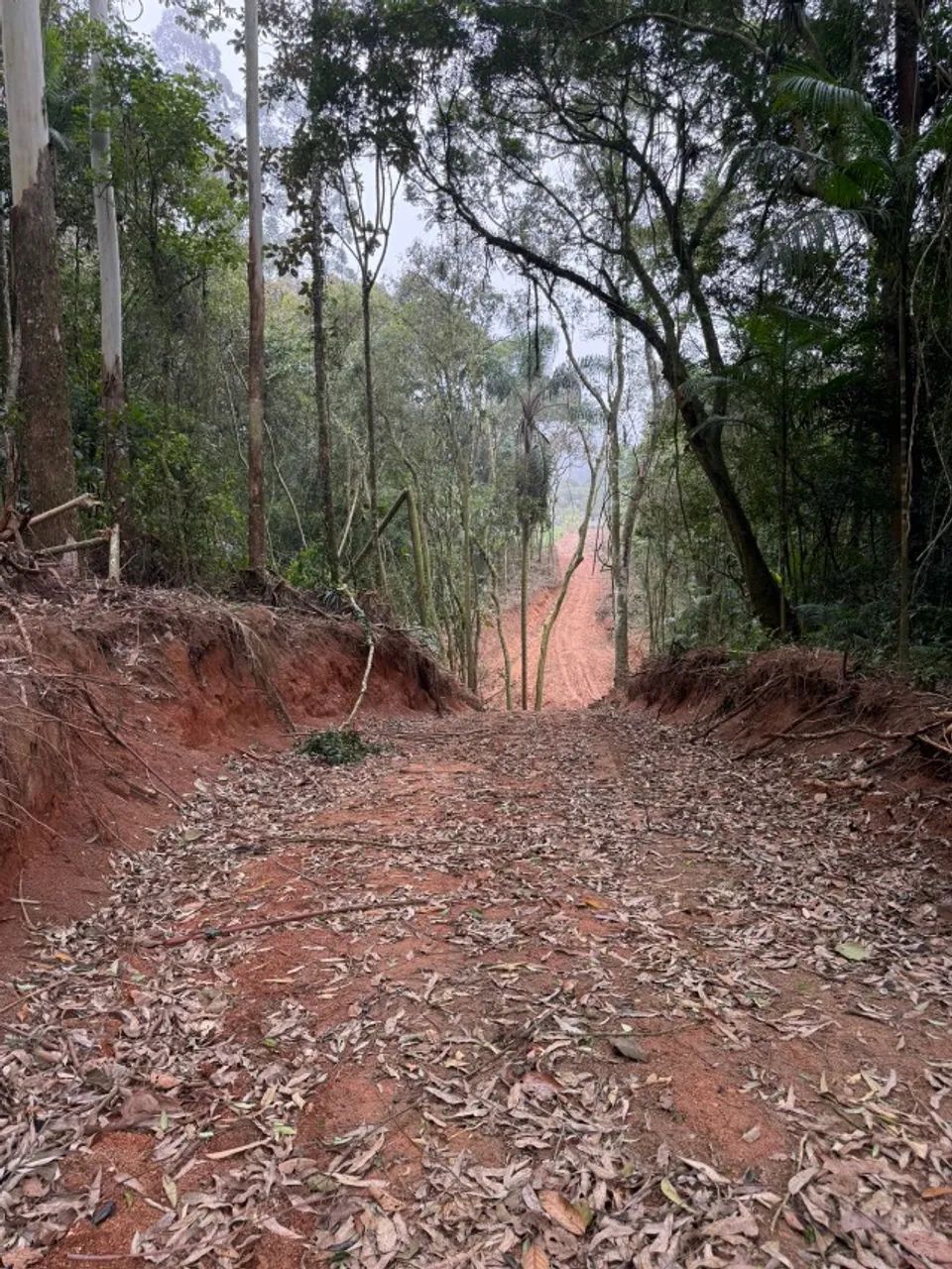 VENDE-SE TERRENO RURAL (sem Eucalipto) EM URUSSANGA/SC!! - Foto 4