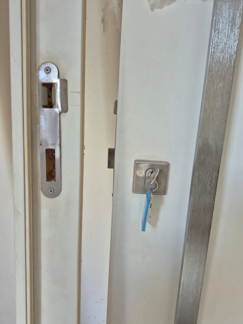 Full Pivot Door (READ THE LISTING)444717987917342724
