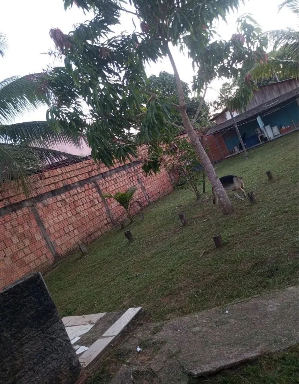 Casa no marabaixo  - Foto 2