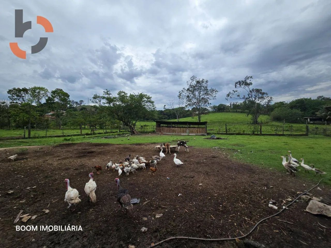 Sítio com 1 dormitório à venda, 36480 m² por R$ 3.000.000,00 - Santa Rosa - Queimados/RJ - Foto 13