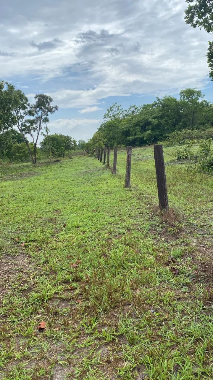 Oportunidade 302 Alqueires divide com lavoura região nobre  - Foto 5