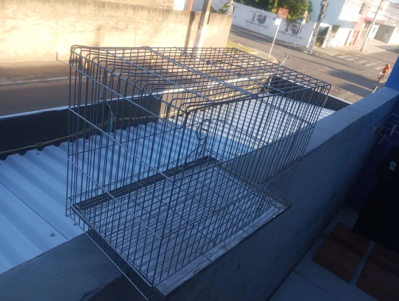 100 cada 2 Gaiolas novas