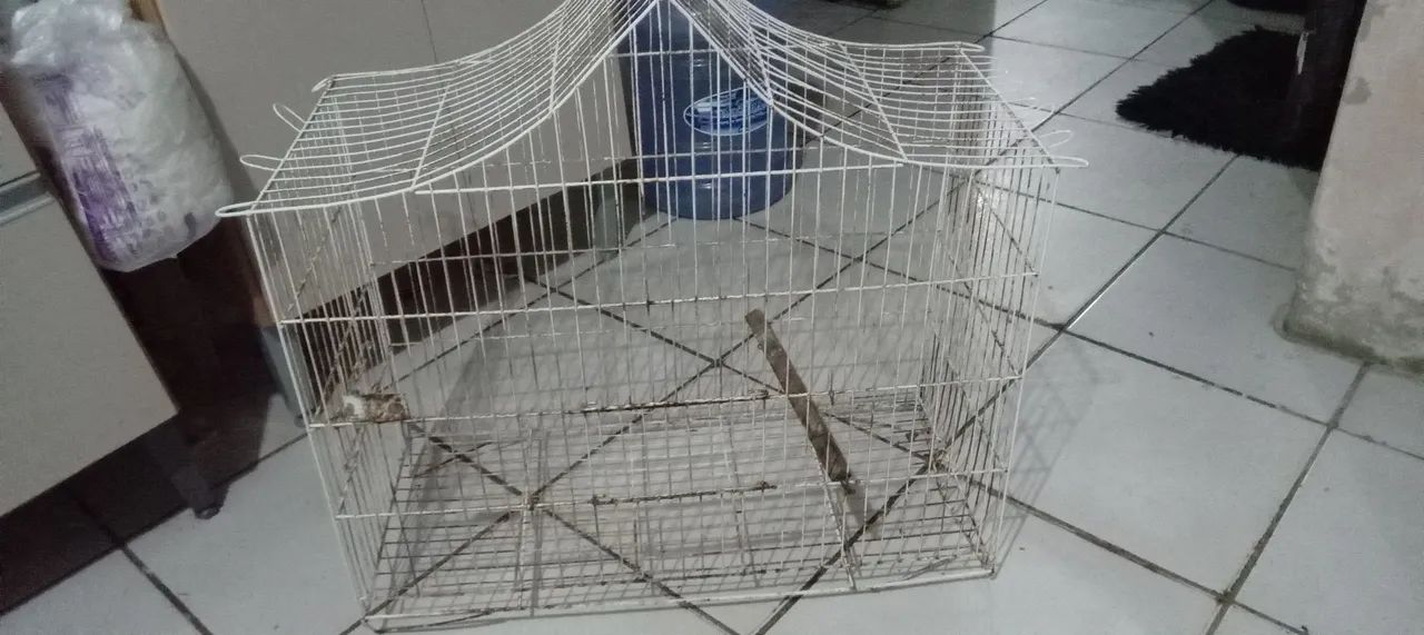 Gaiola - Foto 3